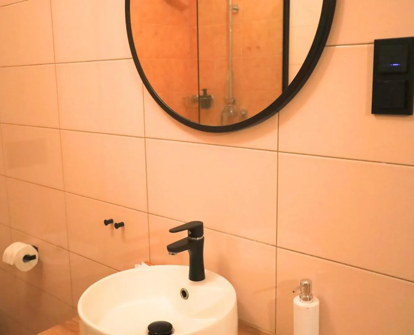 Apartment D'Ali Apartament W Centrum Poznania Ul Rozana 21